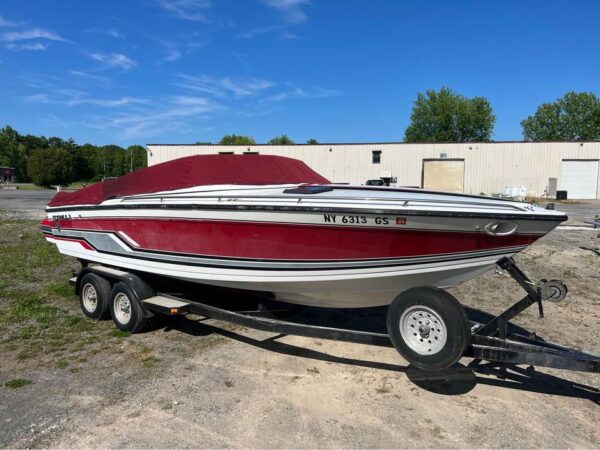 1989 Thunderbird Formula 223 LS